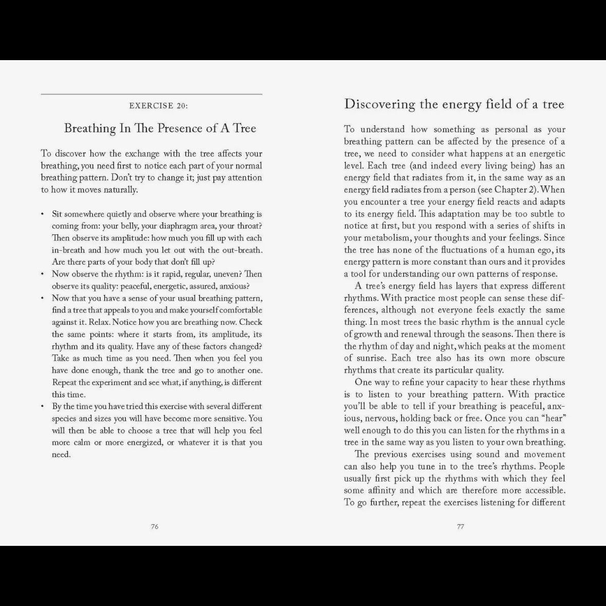 The Healing Nature of Trees