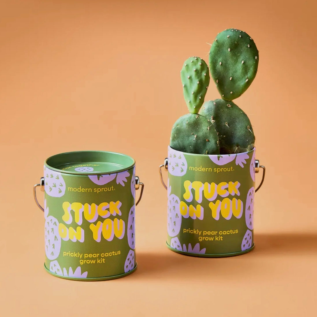 Complimentary Color Grow Kits