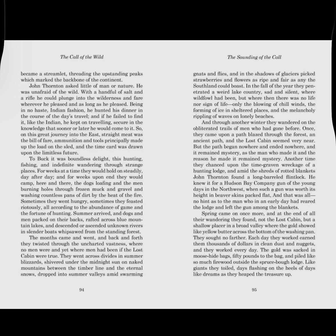 The Call of the Wild Hardcover