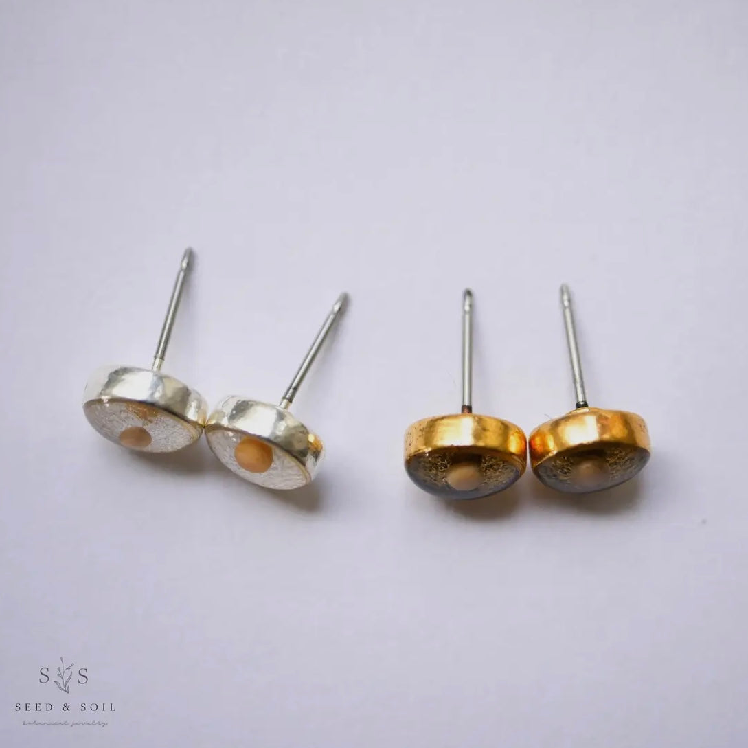 Seed & Soil Mustard Seed Studs