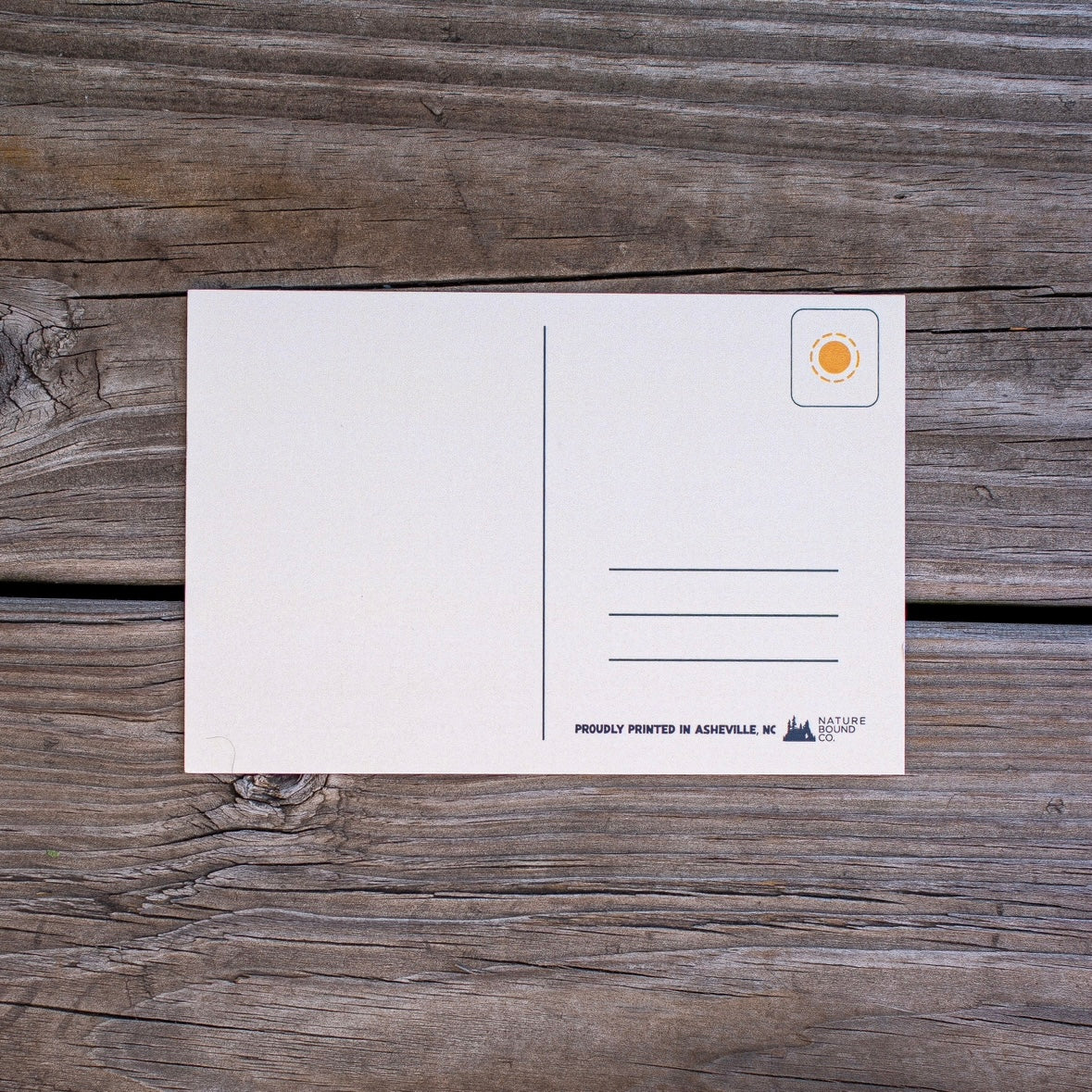 Greetings from Cherokee National Forest Postcard