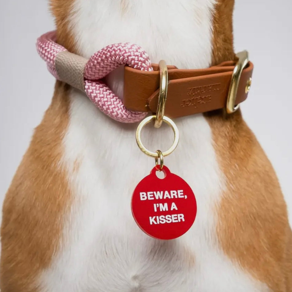 Pet Tag