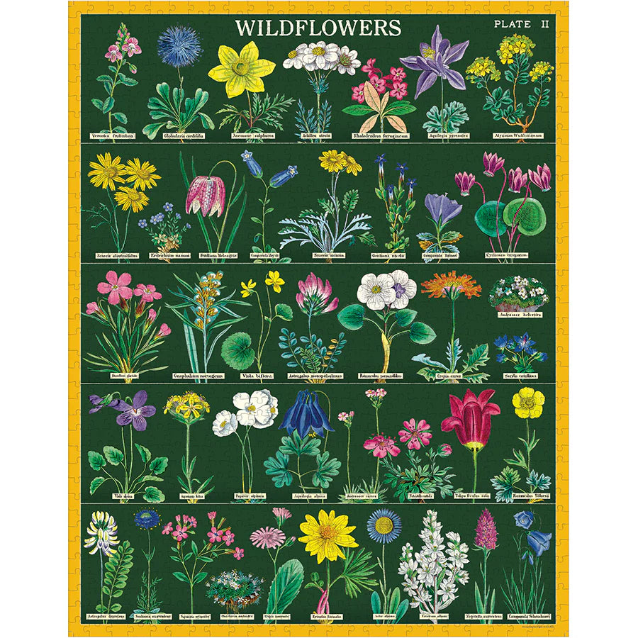Cavallini & Co Wildflowers 2 - 1,000 Piece Puzzle
