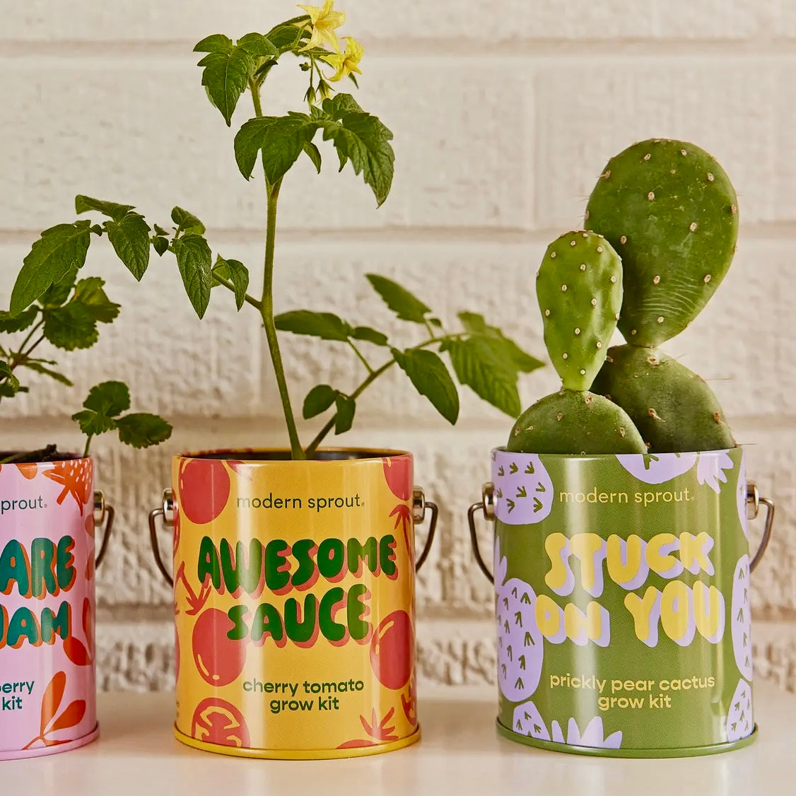 Complimentary Color Grow Kits