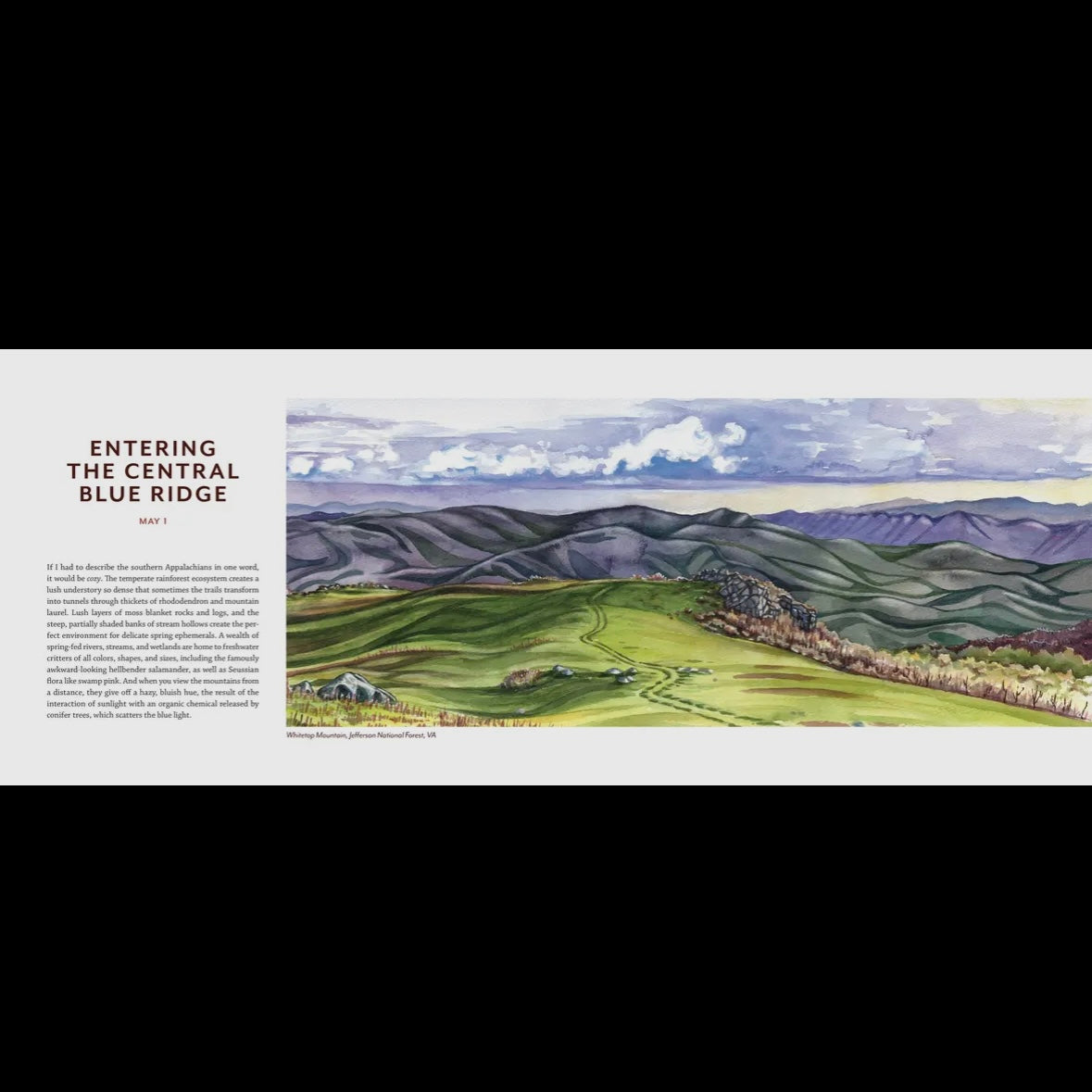 Tiny Worlds of the Appalachian Mountains
