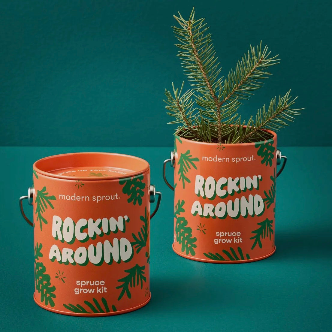 Holiday Complimentary Colors
Grow Kits