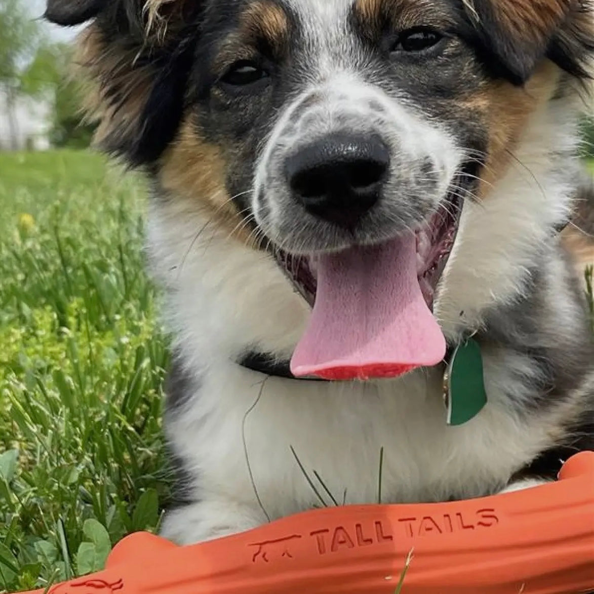 Goat Sport Fetch Stick Dog Toy