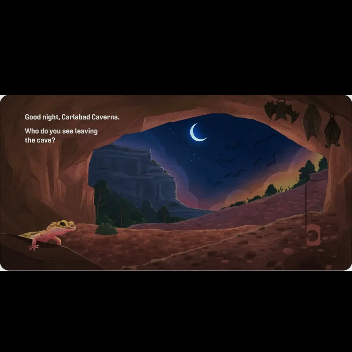 Good Night, National Parks