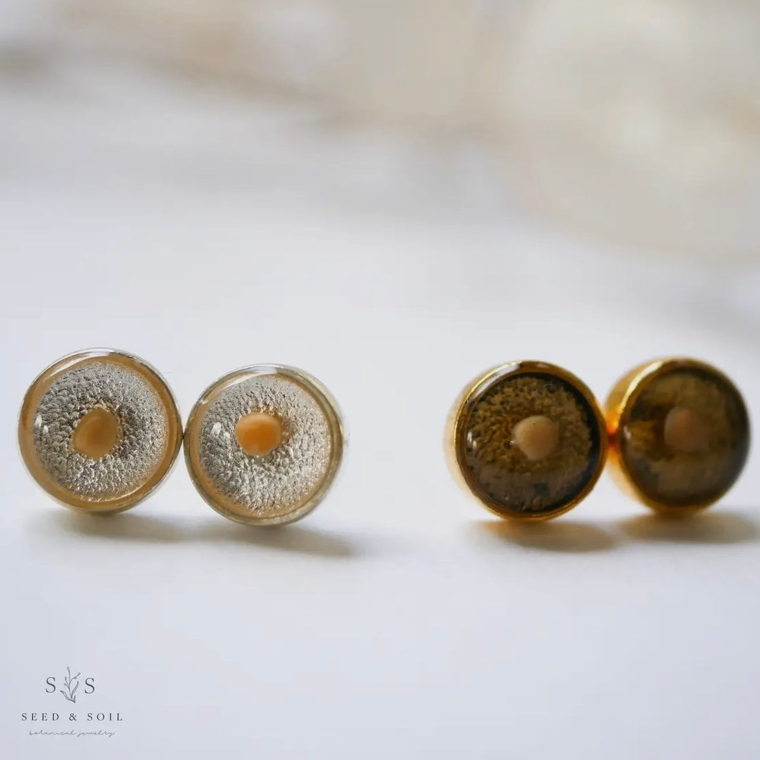 Seed & Soil Mustard Seed Studs
