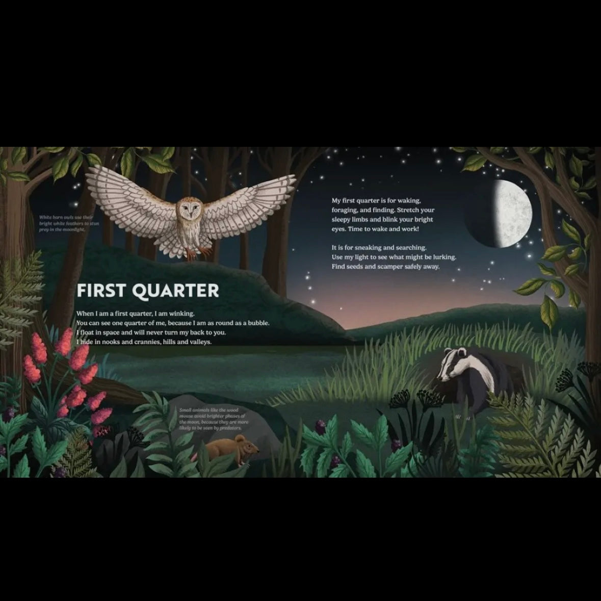 Wild Moon: How the Lunar Phases Light Up Our World