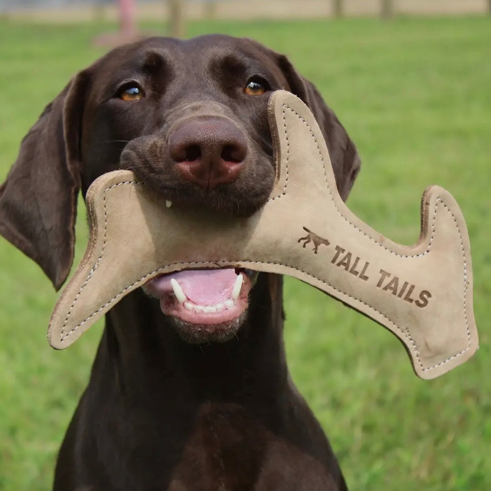 Tall Tails Natural Leather Antler Dog Toy - 11"