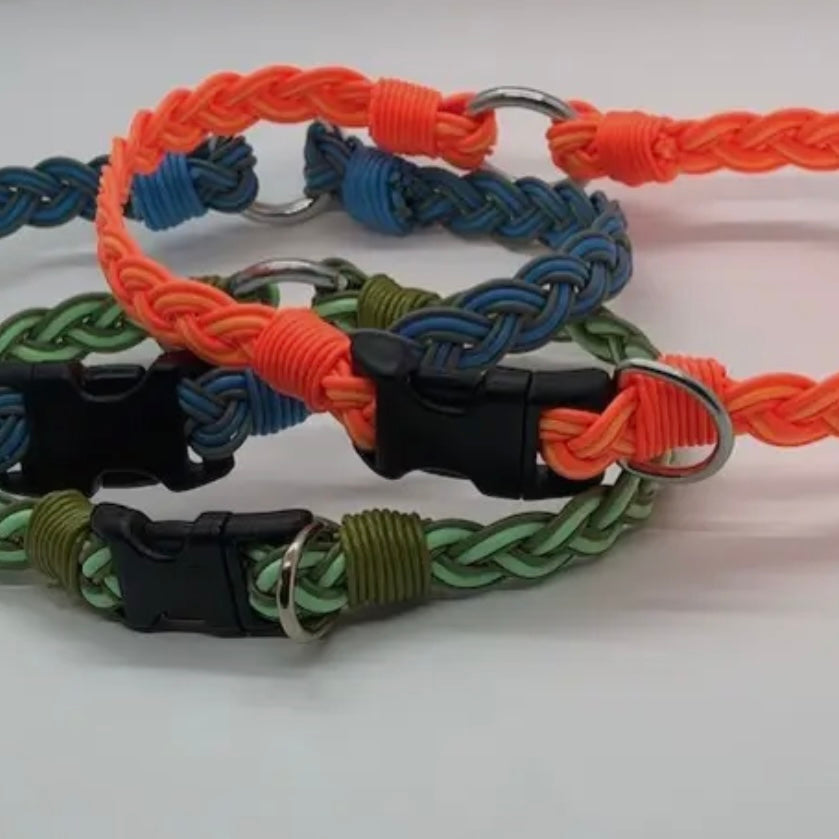 Flyvines Recycled Fly Line Dog Collar - Assorted Colors