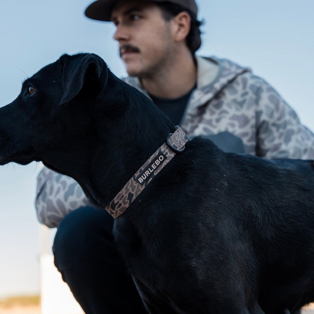 Burlebo Dog Collar