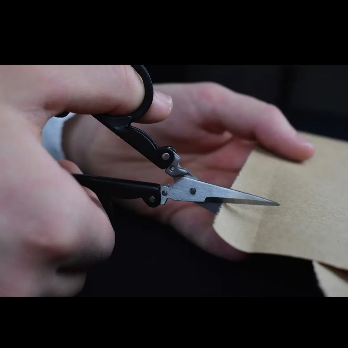 Folding Scissors