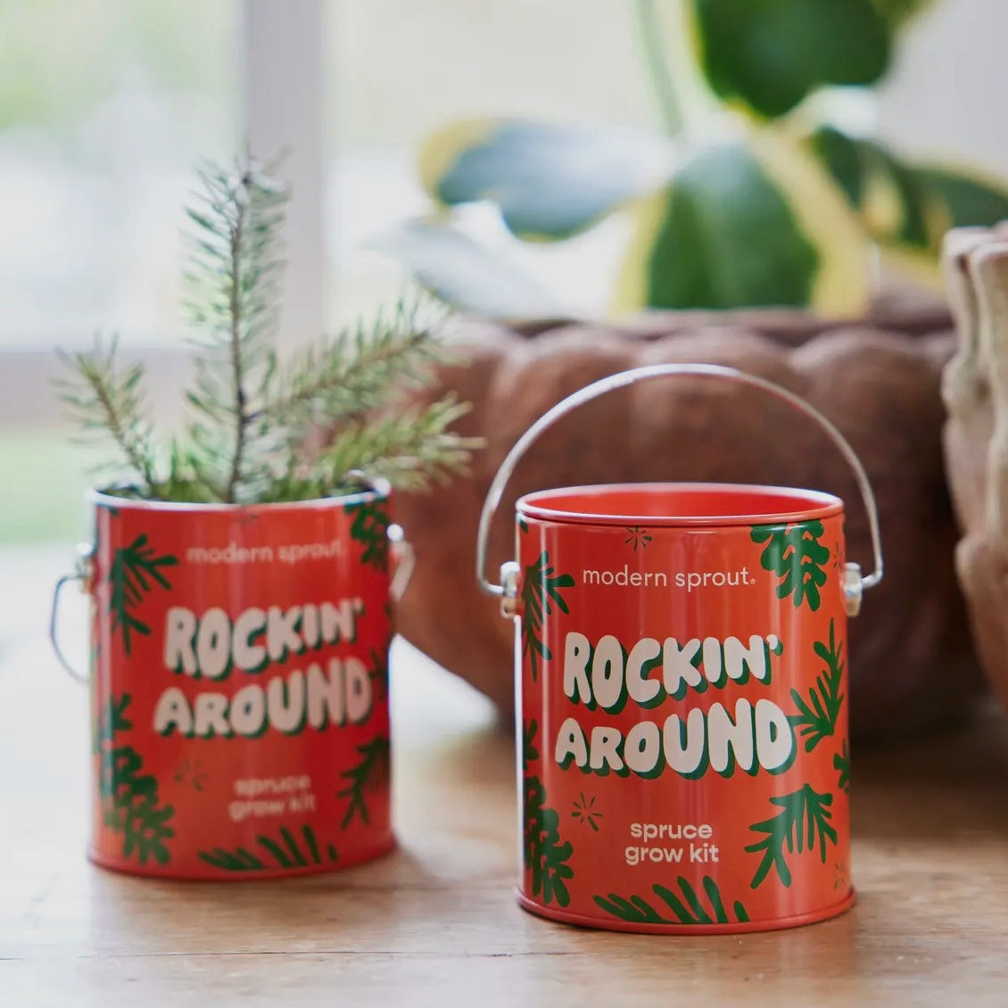 Holiday Complimentary Colors
Grow Kits