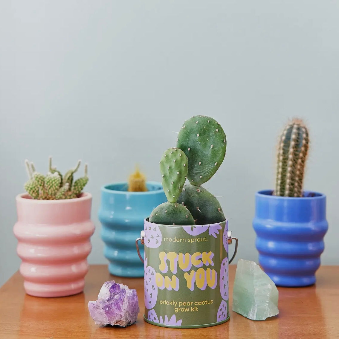 Complimentary Color Grow Kits