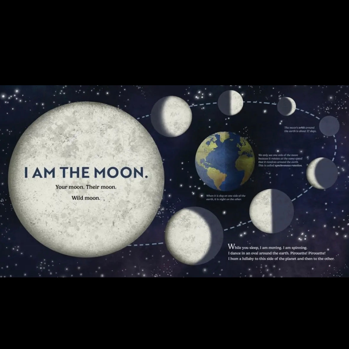 Wild Moon: How the Lunar Phases Light Up Our World