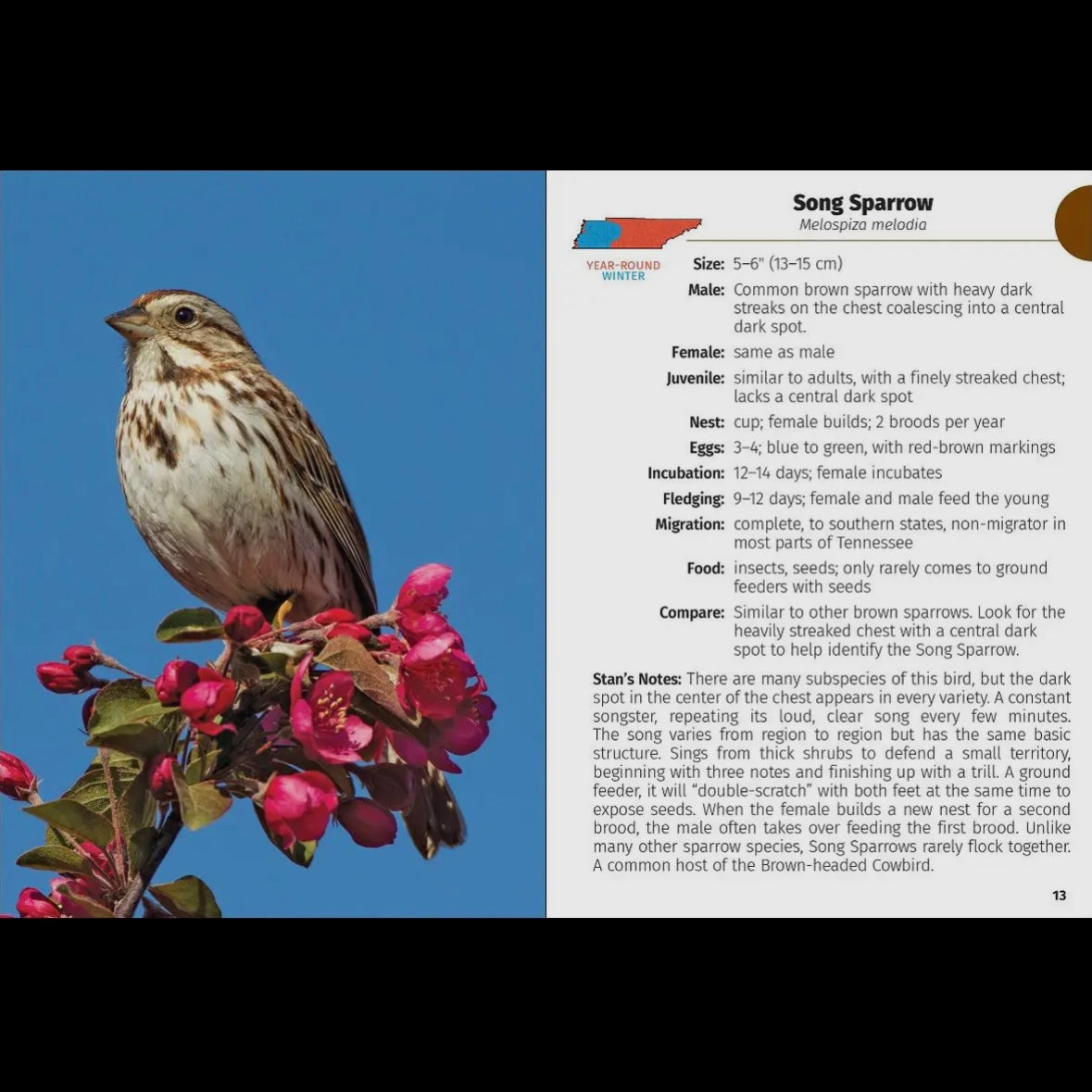 Birds of Tennessee Field Guide 2nd Edition by Stan Tekiela