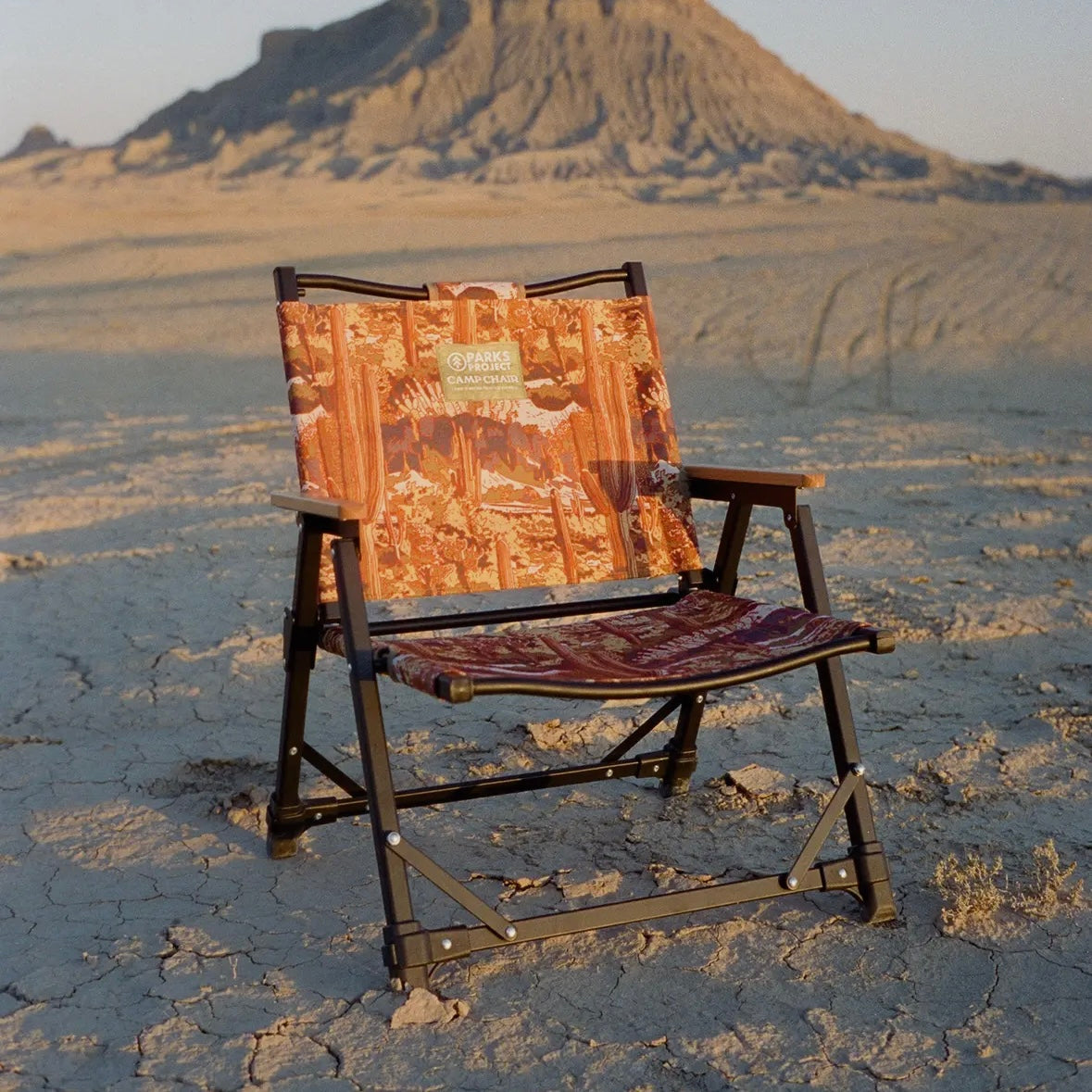 Parks Project Saguaro Cacti Fold Up Chair