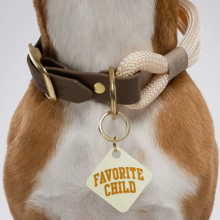 Pet Tag