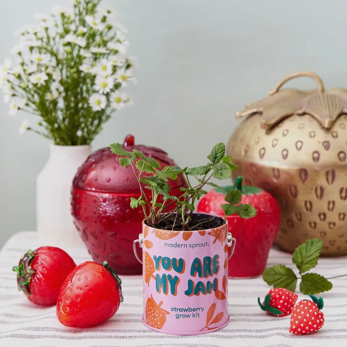 Complimentary Color Grow Kits