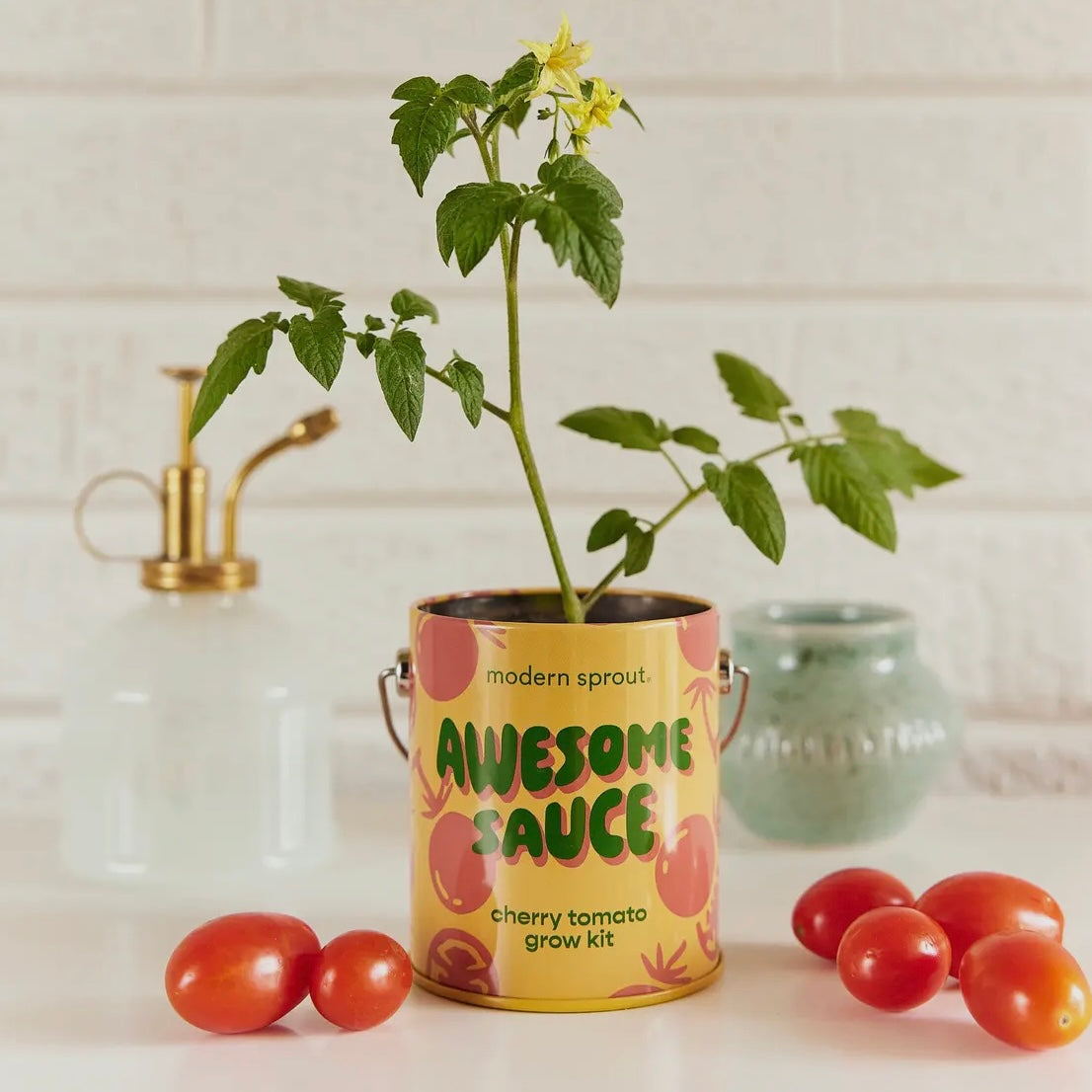 Complimentary Color Grow Kits