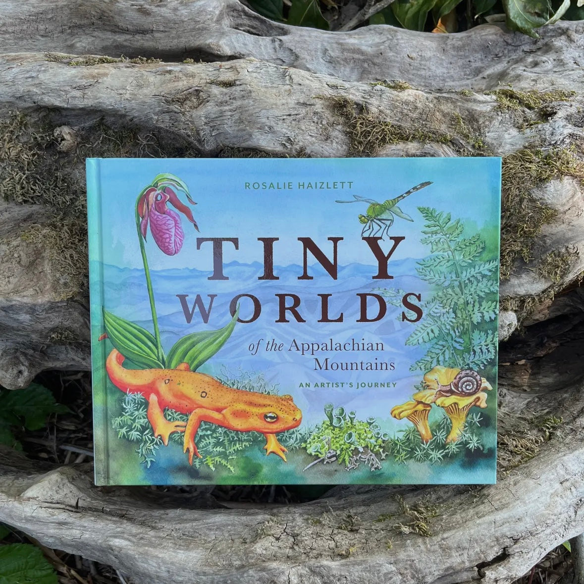 Tiny Worlds of the Appalachian Mountains