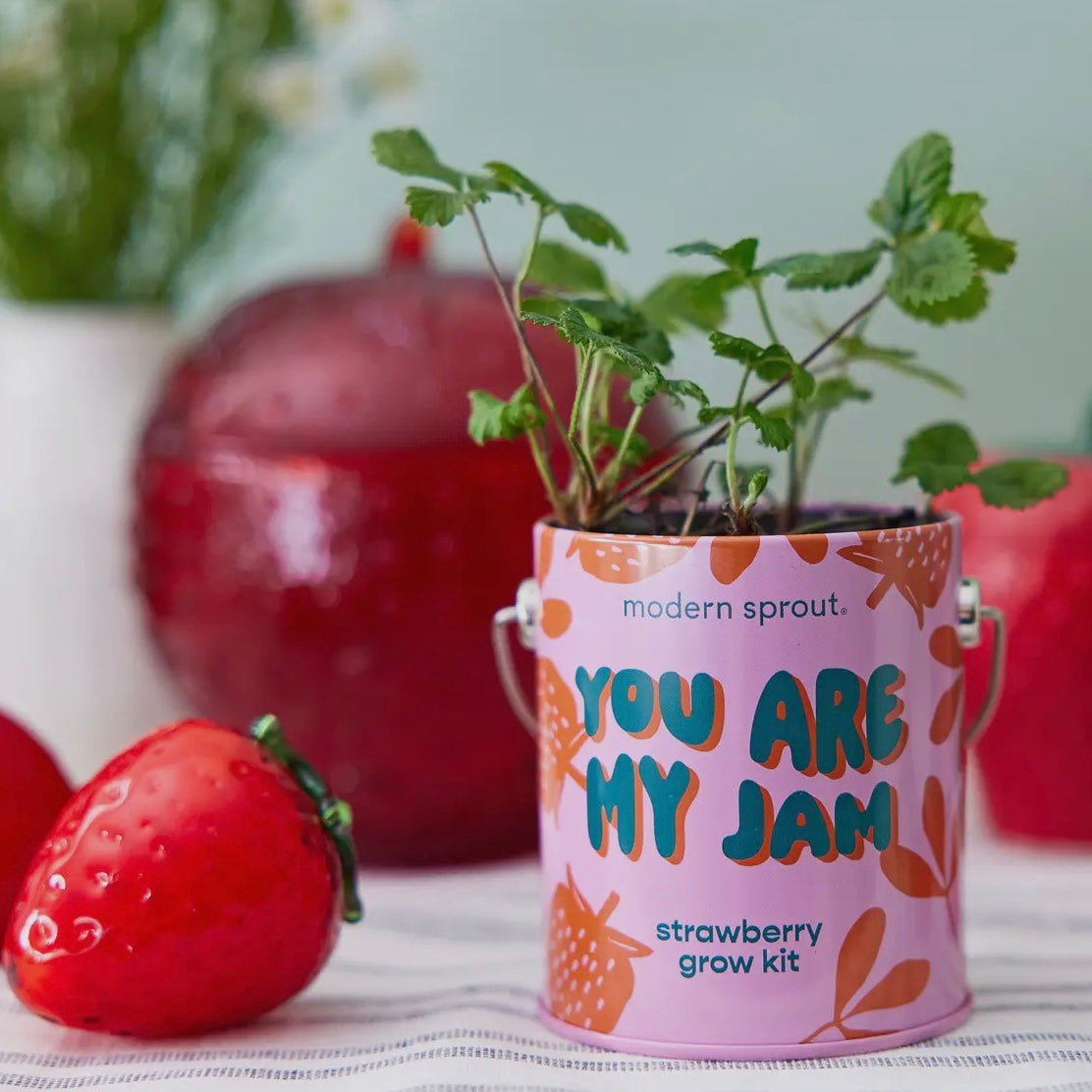 Complimentary Color Grow Kits