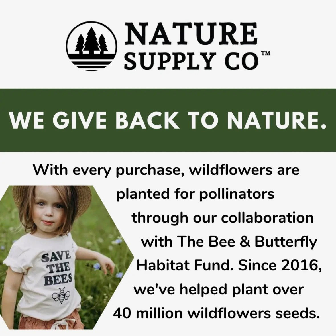 Nature Supply Co. Not All Classrooms Have Four Walls Youth T-Shirt