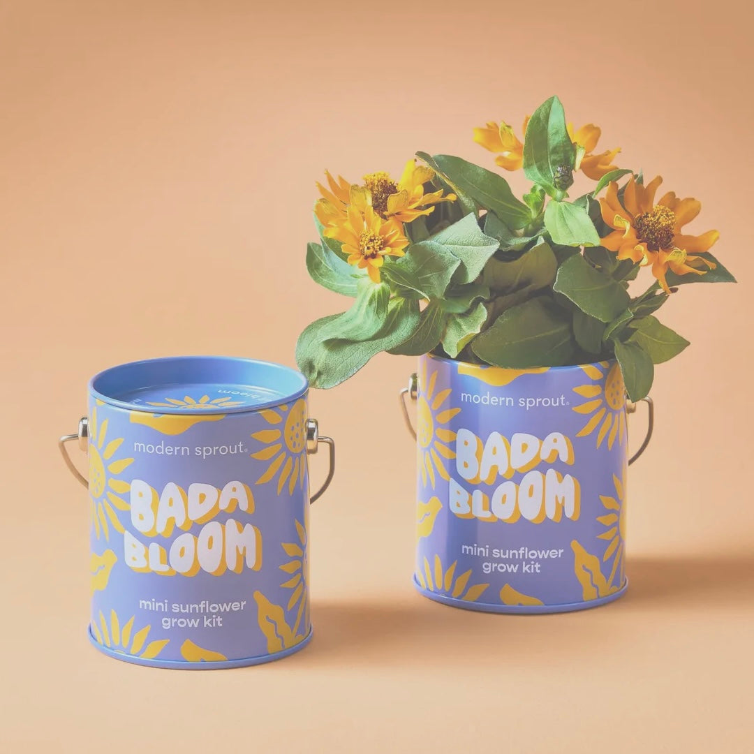 Complimentary Color Grow Kits