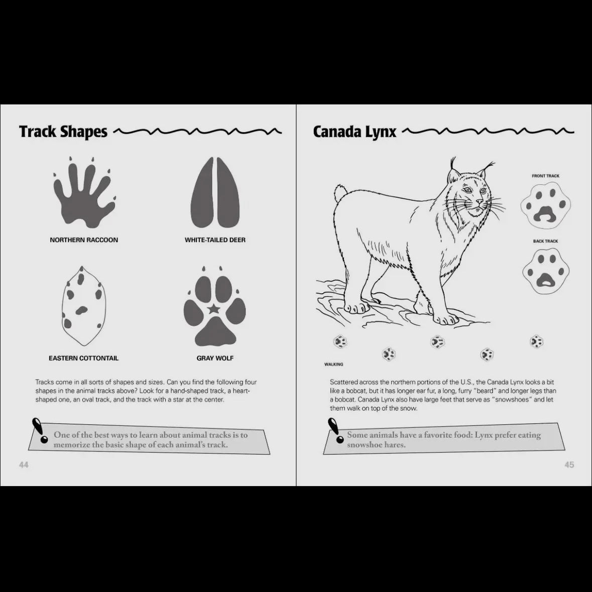 Animal Tracks Activity Book