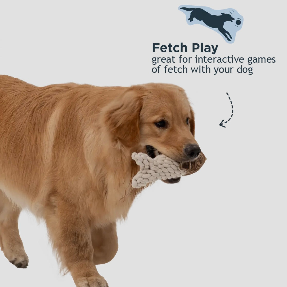 Natural Leather Crunch Fish Rope Dog Toy