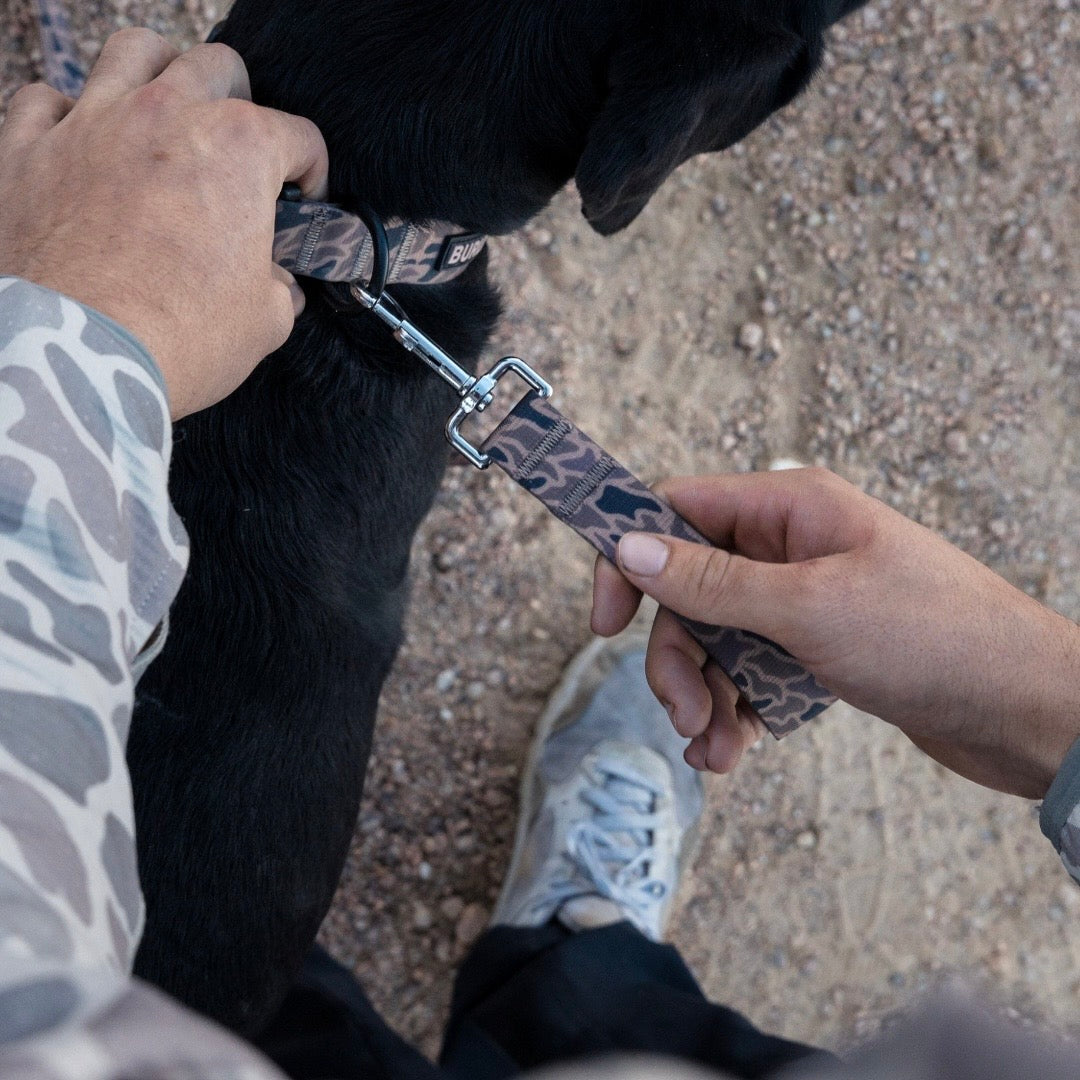 Burlebo Dog Leash