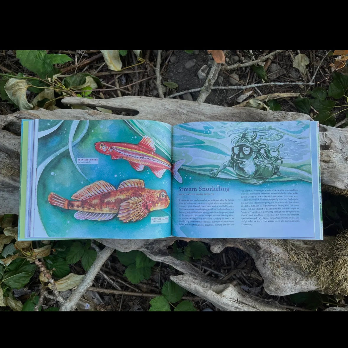 Tiny Worlds of the Appalachian Mountains