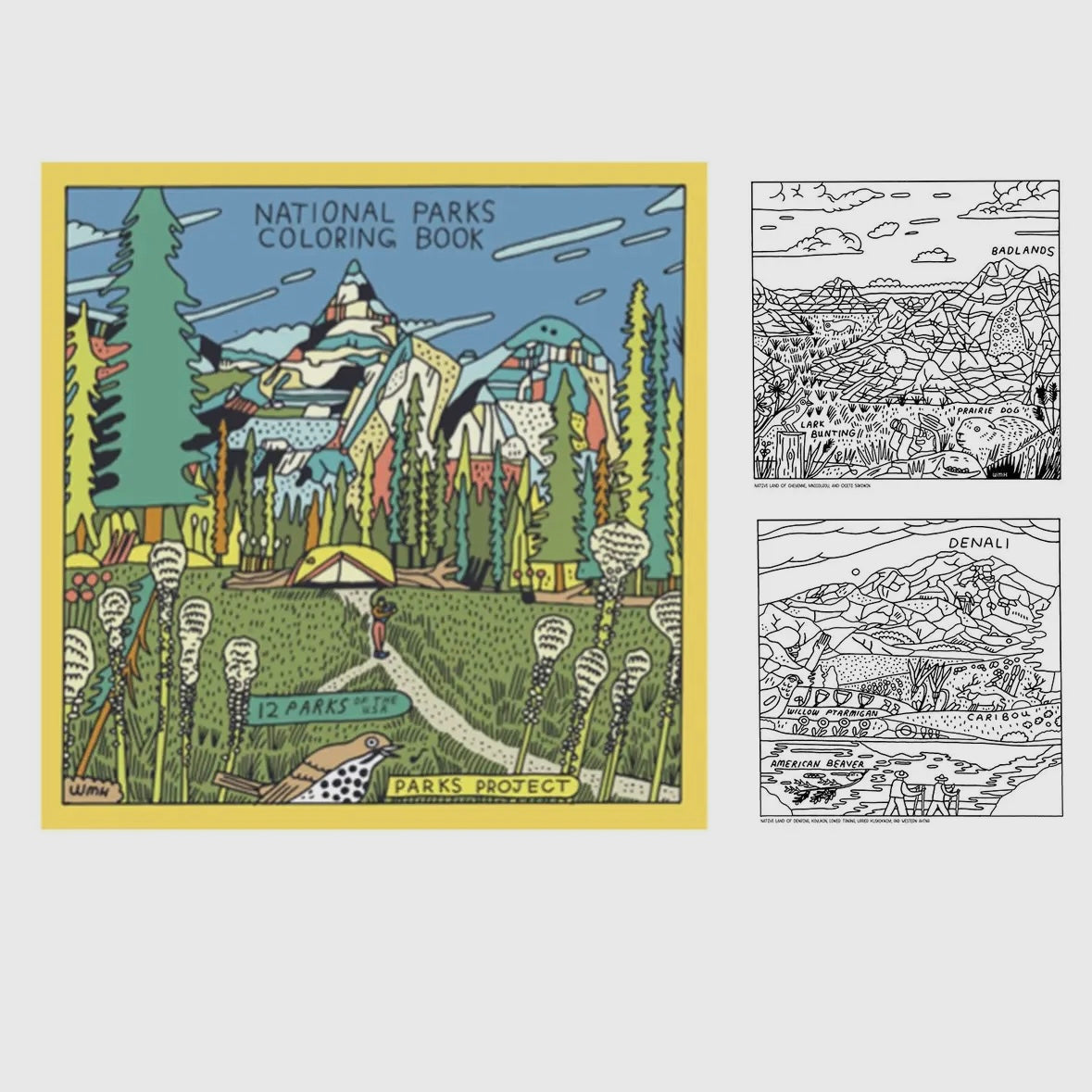 Parks Project Our National Parks Coloring Book
