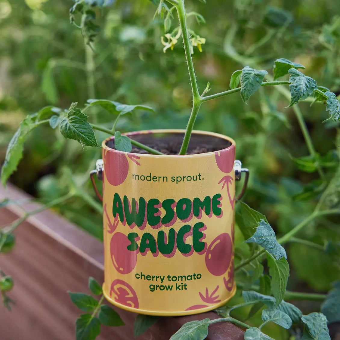 Complimentary Color Grow Kits