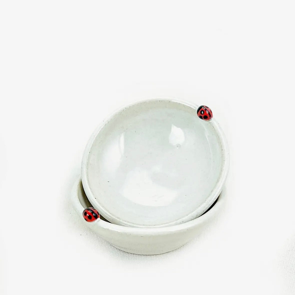 Bug Pottery Spice Bowl