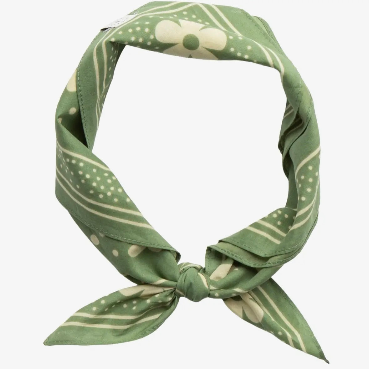 The Landmark Project Woodsy Owl Bandana