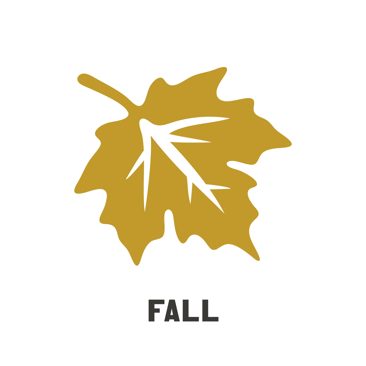 Fall