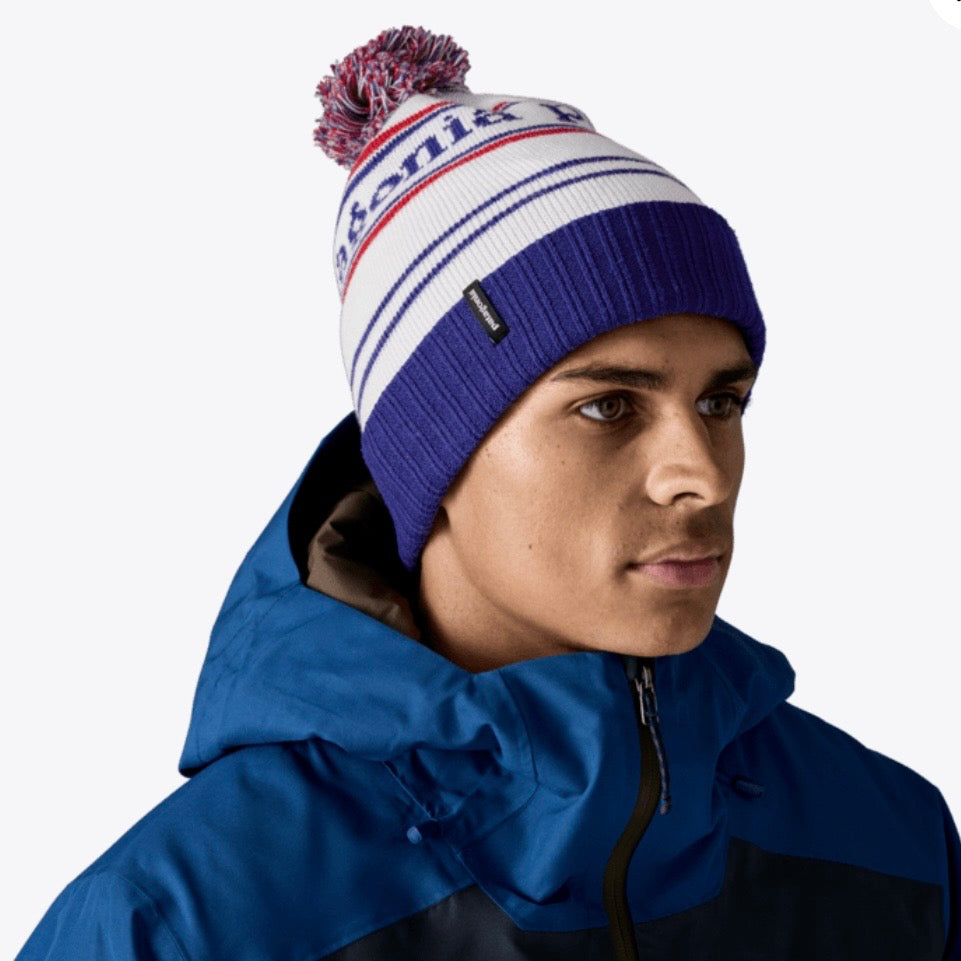 Patagonia Powder Town Beanie