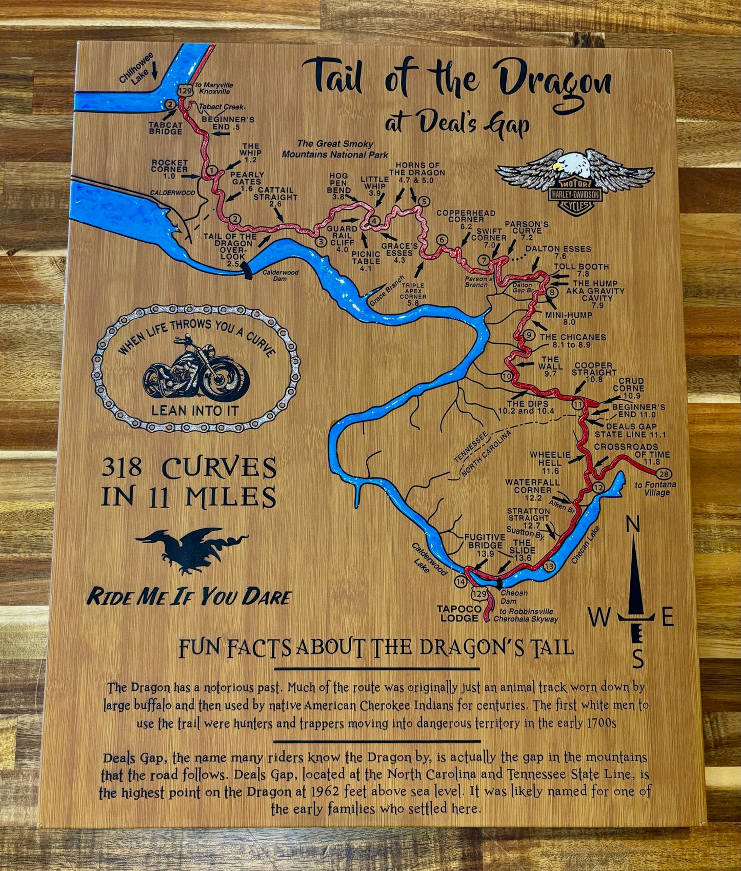 Laser Engraved Faux Leather Map