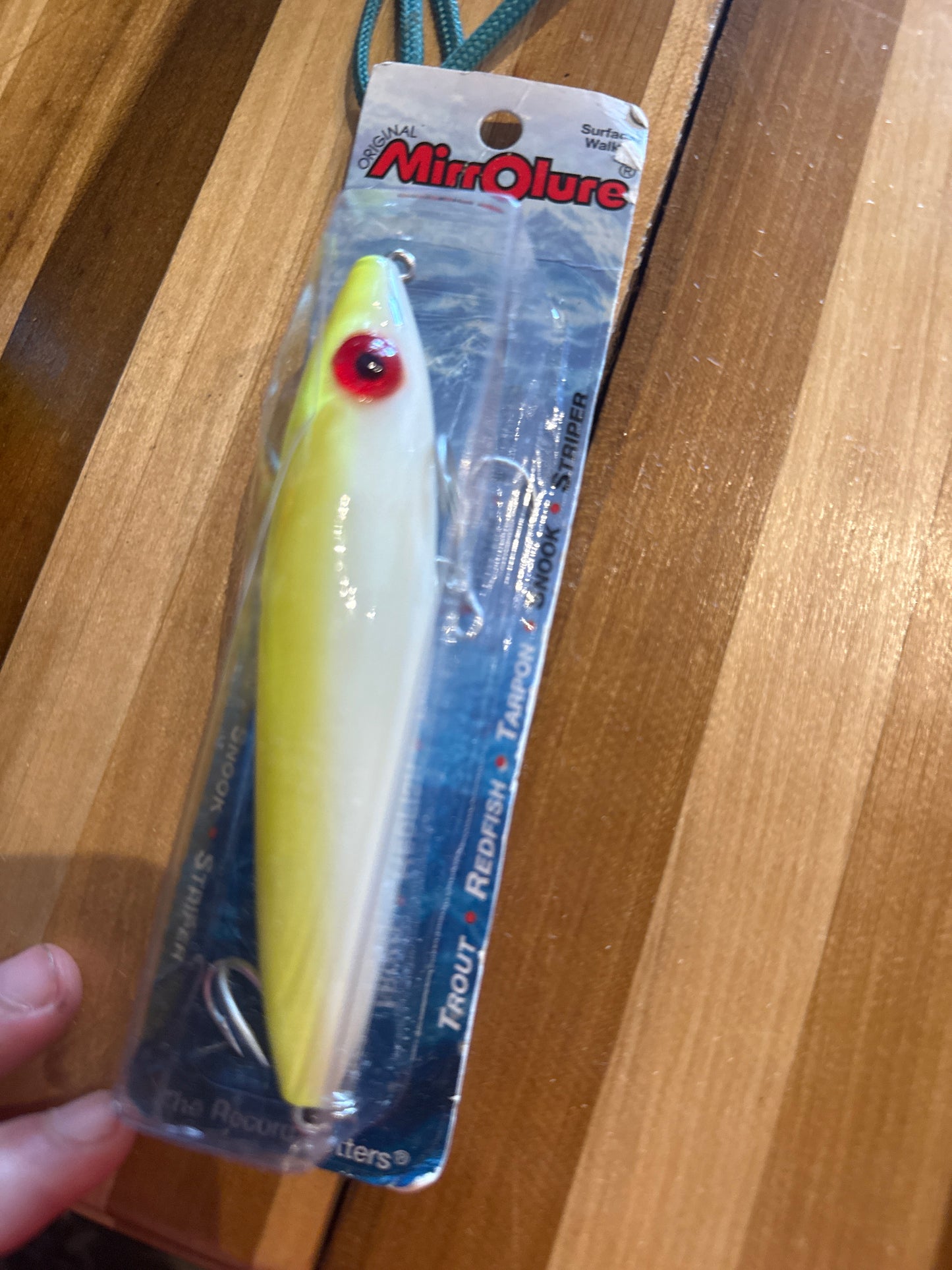USED 6/22* Fishing Lure