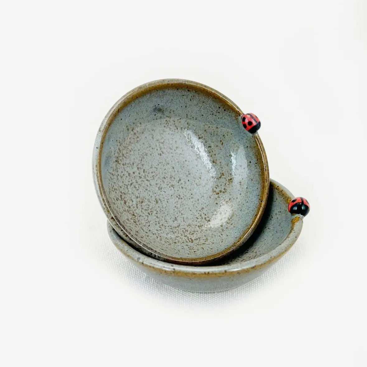 Bug Pottery Spice Bowl