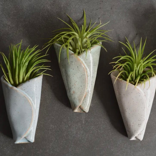 Mud & Maker Air Plant Pottery - Cone