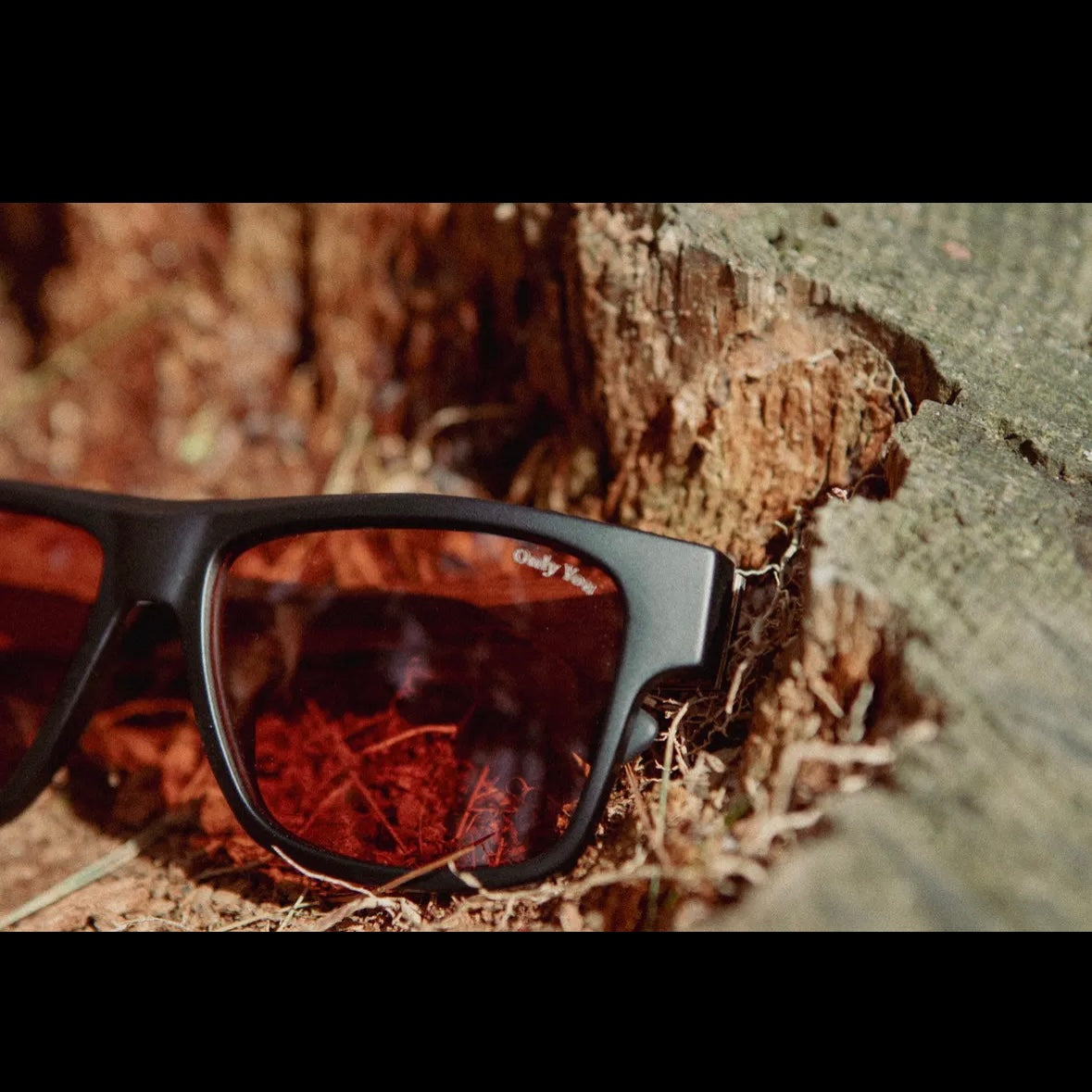 Smokey Bear X CAMP Sunglasses