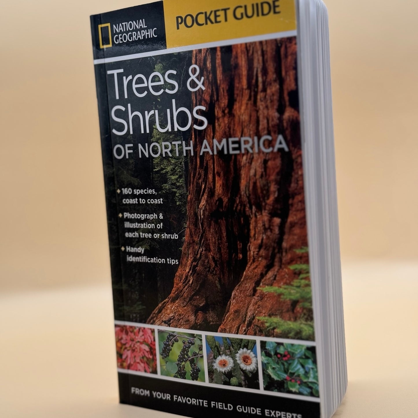 National Geographic Pocket Guide - Trees and Shrubs of North America