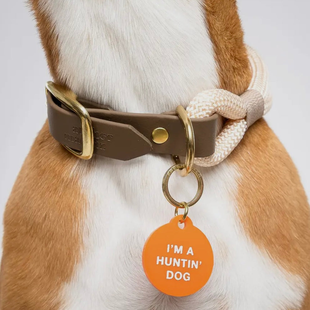 Pet Tag