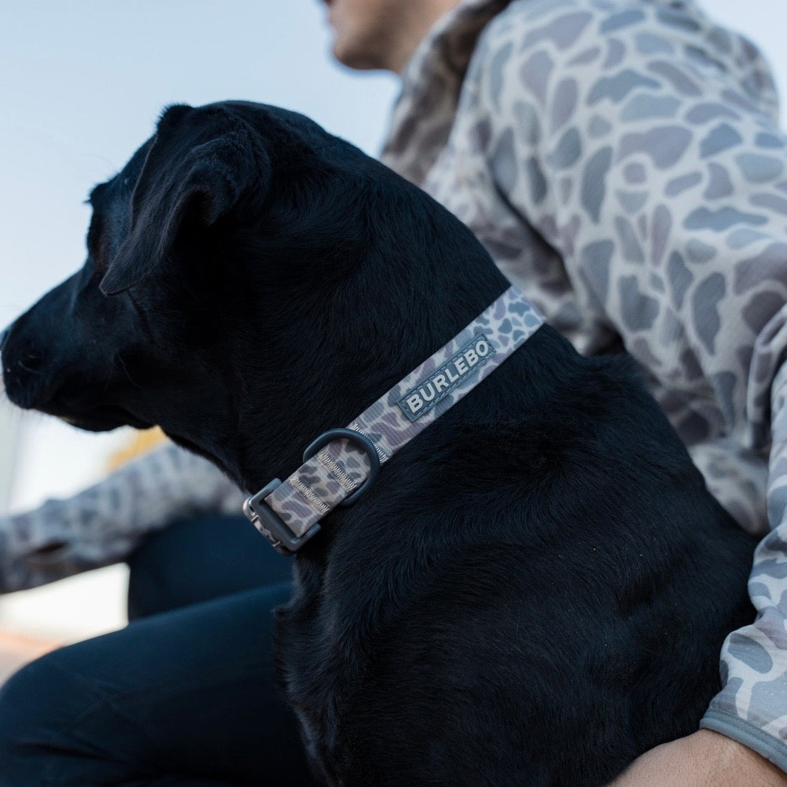Burlebo Dog Collar