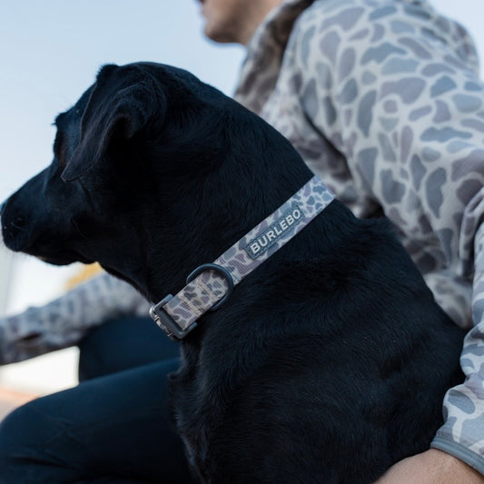 Burlebo Dog Collar