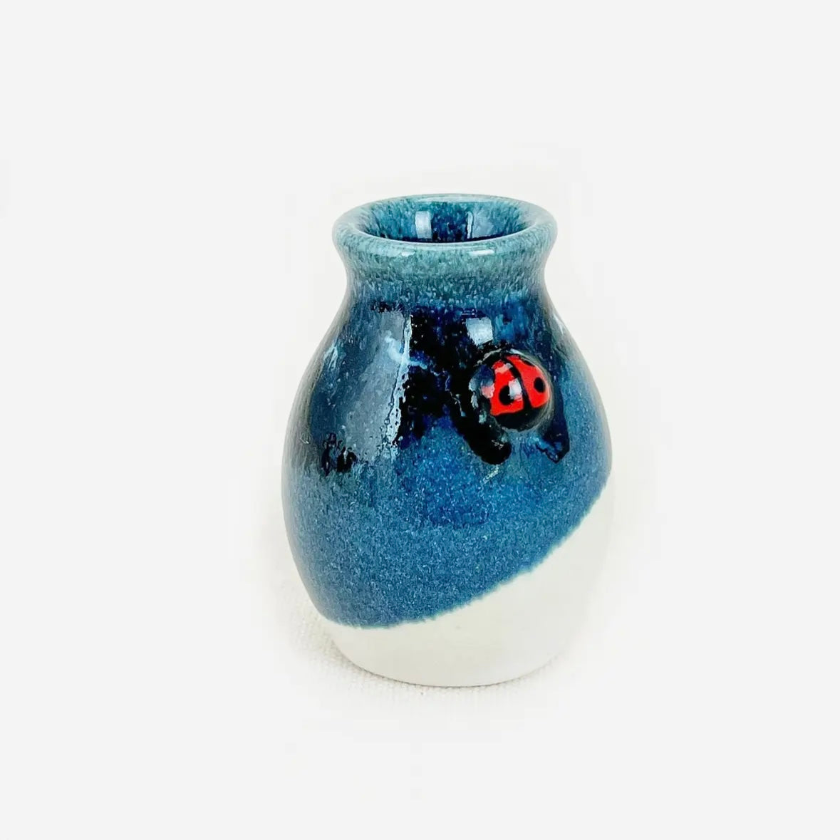 Bug Pottery Parent Pot
